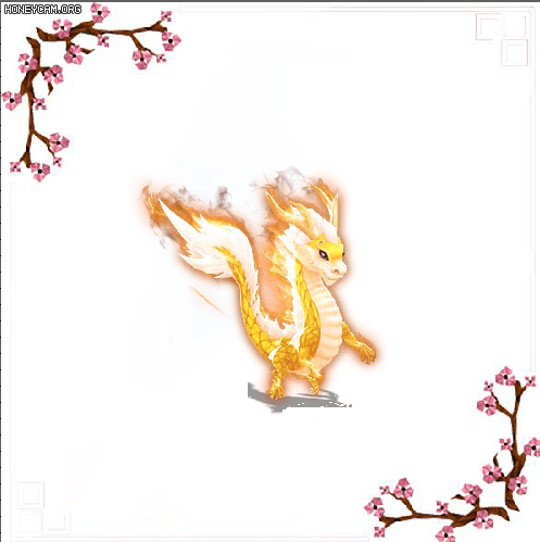 6.gif
